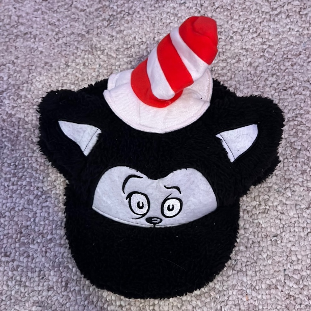 Cat-in-the-hat hat